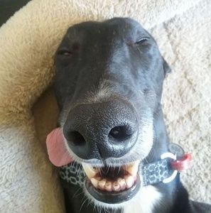 Meet your Posher, Anna